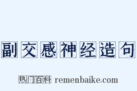 副交感神经造句是什么意思的图片